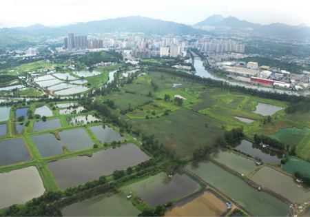Nam Sang Wai development project won appeal, putting Deep Bay wetlands at risk